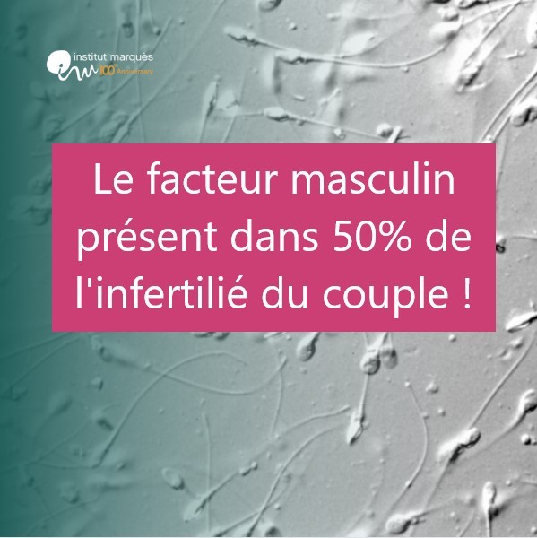 Le facteur masculin présent dans plus de 50% de l